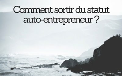 Livre blanc : comment préparer la sortie de l’auto-entreprise ?