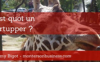 C’est quoi un Startupper ?