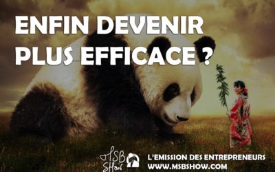 Je ne veux plus voir de pandas qui dansent